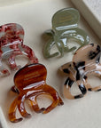 Petite Jelly claw Clips