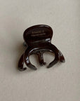 Petite Jelly Clips | Small Acetate Claw Clips